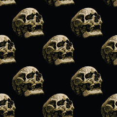 vector image of seamless texture with skulls on black background