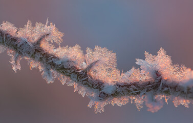 Background hoarfrost frost with sunrise light at cold morning