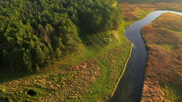 Attractive view from a drone flying over the sinuous river in sunny day. Filmed in 4k, aerial drone video.