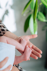 Obraz premium Loving mother holding tiny bare feet of newborn in hand near green houseplant at home on sunny day. Maternity, motherhood, love, family, support, care concept. Vertical, selective focus.