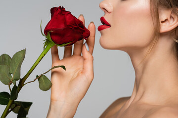 side view of cropped woman with red lips near fresh rose isolated on grey.