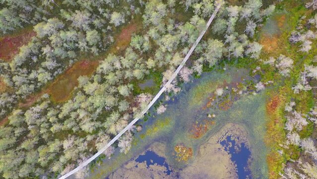Drone aerial view to wooden hiking path on Estonian Viru Raba bog. Moving down