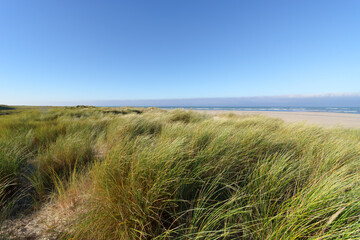 Sand dunes in Bricqueville-sur-Mer beach