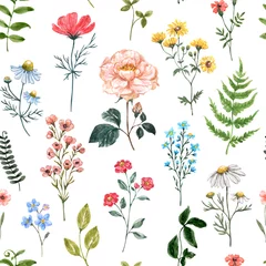 Gardinen Watercolor floral seamless pattern with colorful wildflowers and grass on white background. Summer meadow flowers print. Botanical wallpaper. © Anna Nekotangerine