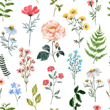 Watercolor floral seamless pattern with colorful wildflowers and grass on white background. Summer meadow flowers print. Botanical wallpaper.