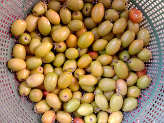 Group or collection of Jujubes in plastic basket. Fresh ripe jujube. Delicious Asian Pakistani...