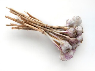 Large bunch of garlic with dry stems, isolate on white background, top view. - Powered by Adobe