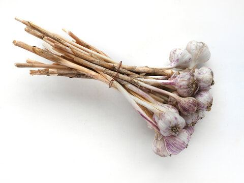 Large bunch of garlic with dry stems, isolate on white background, top view.