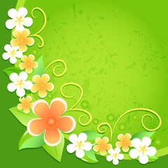 vector floral background design
