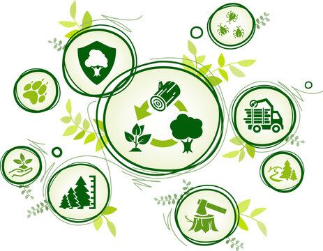 Sustainable Forest Management And Reforestation Vector Illustration. Green Concept With Icons Related To Forrest Conservation / Forestry, Lumber, Logging Or Timber Industry / Plantation Ecosystem.