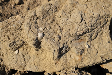 Clay soil with stones in wall