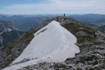 Natural variety found in Vercors valley, France.
All the diversity of plant strata observed as you...