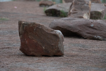 rocks in the sand