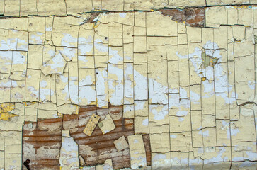 Wood texture background with pieces of old peeling cracked white paint. Naturally old wood plank, shabby surface.
