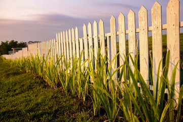 Obraz premium wooden fence in the field