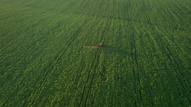 Scenic view from a drone flying over tractor spraying green fields. Filmed 4k, drone video.
