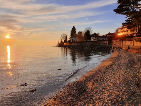 Lac L&eacute;man Pully Suisse
