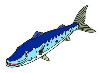 Illustration of happy blue Barracuda or Northern pike. Image of predator fish for use in biology books or other educational material for children and kids. Friendly smiling underwater diving mascot.