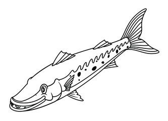 Fototapeta na wymiar Line art illustration of Barracuda or Northern pike. Blank uncolored fish image on white background for children and kids coloring book or pages. For biology lessons and other educational material.