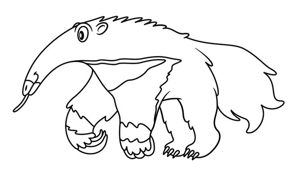 Line art illustration of giant anteater showing his tongue. Blank uncolored image on white background for children and kids coloring book or pages. For biology lessons and other educational material.