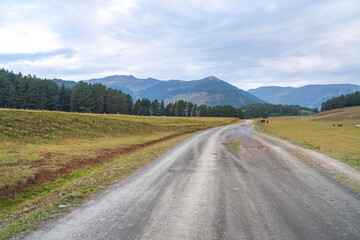Mountain road in the high mountain village Tusheti, Omalo. Georgia