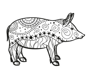Pig on white. Hand drawn animal with intricate patterns on isolated background. Design for spiritual relaxation for adults. Image for banners, flyers and textiles. Zen art. Zentangle