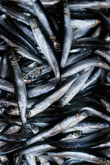 Fototapeta premium a lot of fresh fish lies on the counter