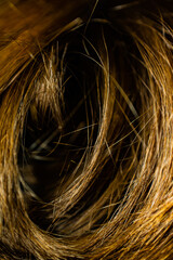 tunel włosów
