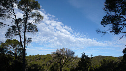 Obraz premium Paesaggio