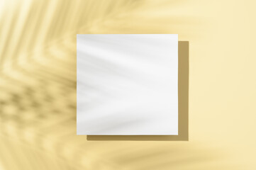 Trendy Summer layout made with white blank card and palm leaves shadow on pastel yellow background. Exotic concept with copy space