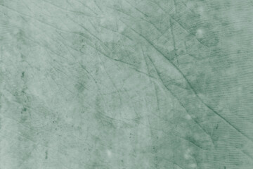 Obraz premium green nature background