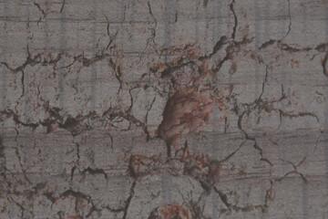 cracked wooden texture