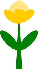 yellow flower on white background