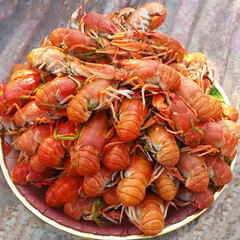 Freshly cooked red boiled crayfish on a plate on a rough blurred background. Russian food. Snack for beer, picnic. Close-up. selective focus. Cook at home