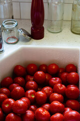 tomatoes in a kitchen sink