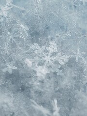 snowflake on the snow