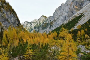 Mountains in Julian alps and Triglav national park, Slovenia rising above a valley covered in...