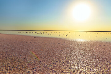 Fototapeta na wymiar Pink salt Salt lake with mirror water at sunset. Calm evening view on the salt lake.