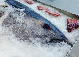 The Pacific bluefin tuna on ice at the fish store