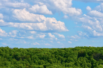 Fototapeta na wymiar Blue sky with clouds over green forest.