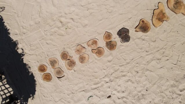 Imagem de drone de um casamento na praia.	
