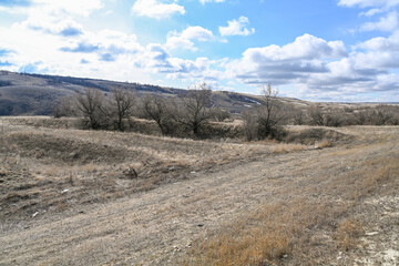 The mountains, steppes, bushes, grass and cloudy sky. Spring.