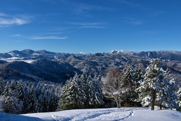 View of forest covered hills in pre-alpine Slovenia in winter