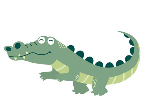 Cute crocodile on white background