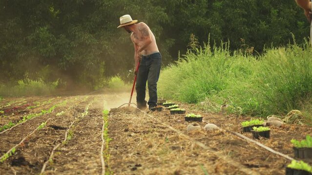 Low angle shot of a farmer with no shirt on a sunny day working on a farm dirt patch