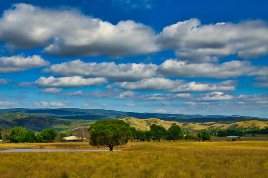 Rolling hills with meadows, trees, a dam and forest in Central Victoria, Australia, between Heathcote and Castlemain
