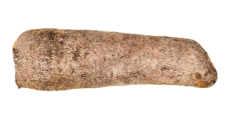 top view of whole tuber of african yam isolated