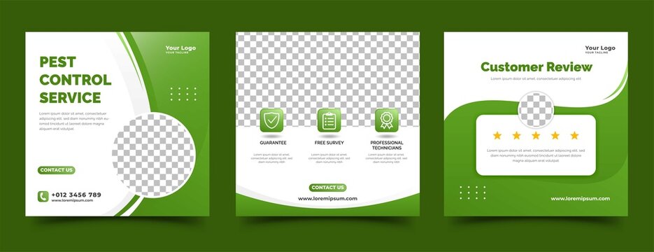 Social Media Post Design Template For Pest Control Service Promotion. White Background With Abstract Green Shape And Place For The Photo.
