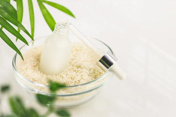 Fermented beauty care. Wellness composition with hande made rice serum and rice grain in a glass bowl on a white table with palm leaves. Natural homemade cosmetics based on fermented product