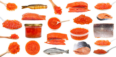 set of various salmon fishes and red roes isolated